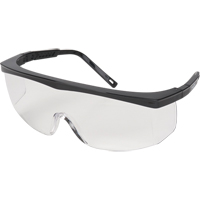 Z100 Series Safety Glasses, Clear Lens, Anti-Scratch, Meets/Exceeds CSA Z94.3 Northern Industrial Supply Inc.