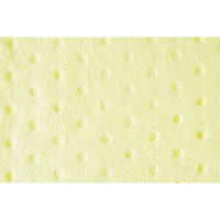 Premium Bonded Sorbent Pads, Hazmat, 15" x 18", 30 gal. Absorbancy Northern Industrial Supply Inc.