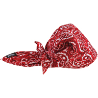 Bandeaux en triangle 6710CT de refroidissement en tissu de serviette Chill-Its, Rouge Northern Industrial Supply Inc.