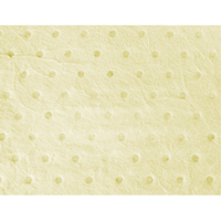 Industrial-Grade Fine Fibre Sorbent Pads, Hazmat, 15" x 17", 40 gal. Absorbancy Northern Industrial Supply Inc.