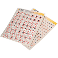 GHS Hazard Pictogram Label Variety Packs, Vinyl, Sheet, 1/2" L x 1/2" W Northern Industrial Supply Inc.