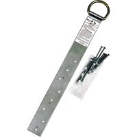Miller&reg; Single Roof Anchor, D-Ring, Permanent Use Northern Industrial Supply Inc.