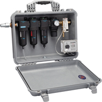 ALLEGRO INDUSTRIES Carry-Air 100 CFM Filtration Panel Northern Industrial Supply Inc.