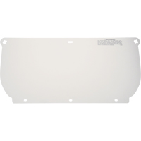 Visi&egrave;re, Polycarbonate, Teinte Transparent Northern Industrial Supply Inc.