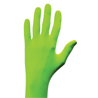 Gants N-Dex, Petit, Nitrile, 5 mils, Sans poudre, Vert Northern Industrial Supply Inc.