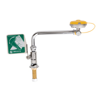 Eye/Face Wash Station, Sink Mount Installation Northern Industrial Supply Inc.