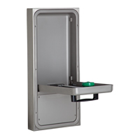 Eye/Face Wash Station, Wall-Mount Installation Northern Industrial Supply Inc.