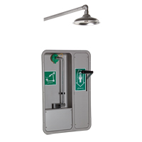 ADA Eye/Face Wash and Shower, Ceiling-Mount Northern Industrial Supply Inc.