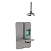 Eye/Face Wash and Shower, Ceiling-Mount Northern Industrial Supply Inc.