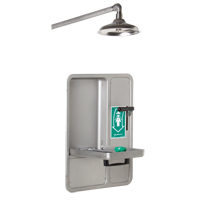 Douche et douche oculaire/faciale, Montage au plafond Northern Industrial Supply Inc.