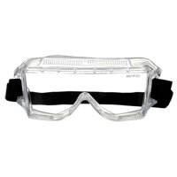 Centurion Safety Impact Goggles, Clear Lens, Anti-Fog, Direct Vent Northern Industrial Supply Inc.