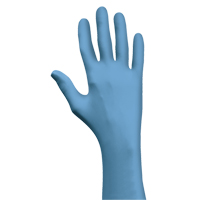 N-Dex&reg; 7500PF Gloves, Small, Nitrile, 4-mil, Powder-Free, Blue Northern Industrial Supply Inc.