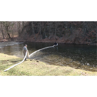 SpillBoa Bale, Oil Only, 25' L x 5" W, 28 gal. Absorbancy, 4 /Pack Northern Industrial Supply Inc.