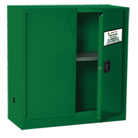 Pesticide Storage Cabinet, 30 gal., 44" H x 43" W x 18" D Northern Industrial Supply Inc.