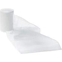 Dynamic Gauze Bandages, Roll, 15' L x 1" W, Sterile, Medical Device Class 1 Northern Industrial Supply Inc.