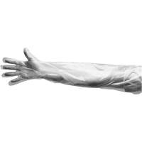 Disposable Gloves, Large, Polyethylene, 9-mil, Powdered, Clear Northern Industrial Supply Inc.
