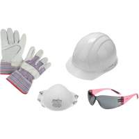 Ladies' Worker PPE Starter Kit Northern Industrial Supply Inc.