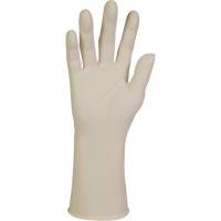 XTRA-PFE Exam Gloves, Large, Latex, 10-mil, Powder-Free, White, Class 2 Northern Industrial Supply Inc.
