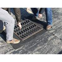 Storm Sentinel&reg; Catch Basin Insert, Sediment, 48" L x 36" W Northern Industrial Supply Inc.