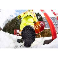 Heavy-Duty Traction Aid, Tungsten Carbide, Stud Traction, Small Northern Industrial Supply Inc.
