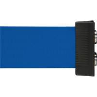 Barri&egrave;re &agrave; fixation murale avec ruban magn&eacute;tique, Acier, Fixation par vis, 7', Ruban Bleu Northern Industrial Supply Inc.
