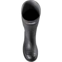 Slip Resistant Boots, Rubber, Steel Toe, Size 9 Northern Industrial Supply Inc.