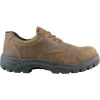 Warrior Work Shoes, Size 13, Steel Toe, Puncture Resistant Sole, Leather Northern Industrial Supply Inc.