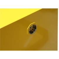 Flammable Storage Cabinet, 4 gal., 1 Door, 17" W x 22" H x 18" D Northern Industrial Supply Inc.
