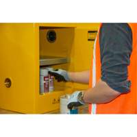 Flammable Storage Cabinet, 4 gal., 1 Door, 17" W x 22" H x 18" D Northern Industrial Supply Inc.