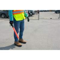 Safety Baton Light Northern Industrial Supply Inc.