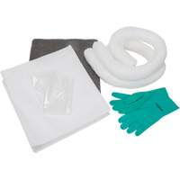 Spill Kit, Oil Only/Universal, Bag, 10 US gal. Absorbancy Northern Industrial Supply Inc.