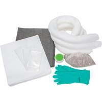 Spill Kit, Oil Only/Universal, Bag, 10 US gal. Absorbancy Northern Industrial Supply Inc.