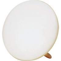 Jumbo Therapy Light for Seasonal Affective Disorder Northern Industrial Supply Inc.