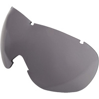 Lentille de rechange pour les lunettes de s&eacute;curit&eacute; &agrave; coques Uvex Sub-Zero, Antibu&eacute;e/anti-&eacute;gratignures, Gris, Uvex Sub-Zero Northern Industrial Supply Inc.