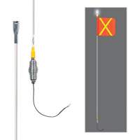 Safety Whip&reg; All-Weather Super-Duty Warning Whips with Constant LED Light, Spring Mount, 5' High, Orange with Reflective Northern Industrial Supply Inc.