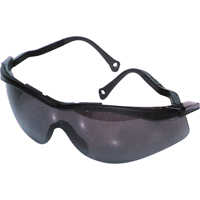 Lunettes de s&eacute;curit&eacute; North The Edge, Lentille Fum&eacute;e, Antibu&eacute;e/Anti-&eacute;gratignures, R&eacute;pond ou surpasse la norme CSA Z94.3 Northern Industrial Supply Inc.