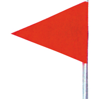 Snow Flags
