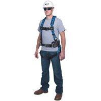 Harnais Miller Aircore, Certifi&eacute;e CSA, Classe AP, Cap. 400 lb Northern Industrial Supply Inc.