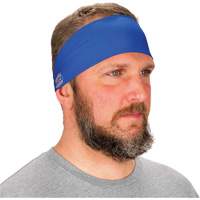 Chill-Its 6634 Cooling Headband, Blue Northern Industrial Supply Inc.
