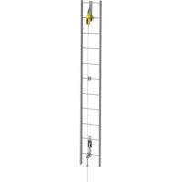 Ensemble de c&acirc;bles de s&eacute;curit&eacute; pour &eacute;chelle verticale Latchways, Acier inoxydable Northern Industrial Supply Inc.