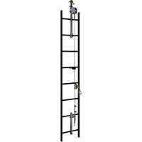 Syst&egrave;me de s&eacute;curit&eacute; verticale &agrave; c&acirc;ble Lad-Saf, Acier inoxydable Northern Industrial Supply Inc.