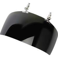 DP4 Series Faceshield Visor, IR 5.0 Tint Northern Industrial Supply Inc.