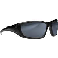 Lunettes de s&eacute;curit&eacute; Robson avec joint, Lentille Miroir argent&eacute;, Anti-&eacute;gratignures/Polaris&eacute;, ANSI Z87+/MCEPS GL-PD 10-12/R&eacute;pond ou surpasse la norme CSA Z94.3 Northern Industrial Supply Inc.