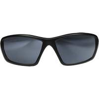 Lunettes de s&eacute;curit&eacute; Robson avec joint, Lentille Miroir argent&eacute;, Anti-&eacute;gratignures/Polaris&eacute;, ANSI Z87+/MCEPS GL-PD 10-12/R&eacute;pond ou surpasse la norme CSA Z94.3 Northern Industrial Supply Inc.