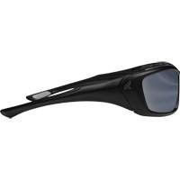 Lunettes de s&eacute;curit&eacute; Robson avec joint, Lentille Miroir argent&eacute;, Anti-&eacute;gratignures/Polaris&eacute;, ANSI Z87+/MCEPS GL-PD 10-12/R&eacute;pond ou surpasse la norme CSA Z94.3 Northern Industrial Supply Inc.