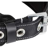 WB-6010-S Dispositif de retenue de s&eacute;curit&eacute; avec ceinture &agrave; un anneau en D et support lombaire rembourr&eacute; - Petit Northern Industrial Supply Inc.