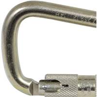 CP-03015-1 Zinc Plated Carabiner with 1" Gate Opening, Steel Northern Industrial Supply Inc.