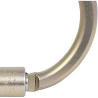 CP-04011-1 Zinc Plated Carabiner with 2" Gate Opening, Steel Northern Industrial Supply Inc.
