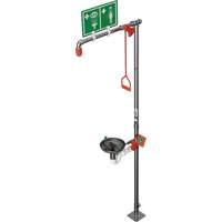 Combination Shower with Open Stainless Steel Bowl & Top Inlet, Pedestal Northern Industrial Supply Inc.