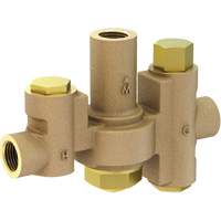 Mid-Capacity Thermostatic Mixing Valve for Individual Eye/Face Wash Stations, 2 - 35.1 GPM Northern Industrial Supply Inc.